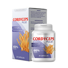 Cordyceps Pulse - Mittel gegen Blasenentzündung Cordyceps Pulse - Mittel gegen Blasenentzündung